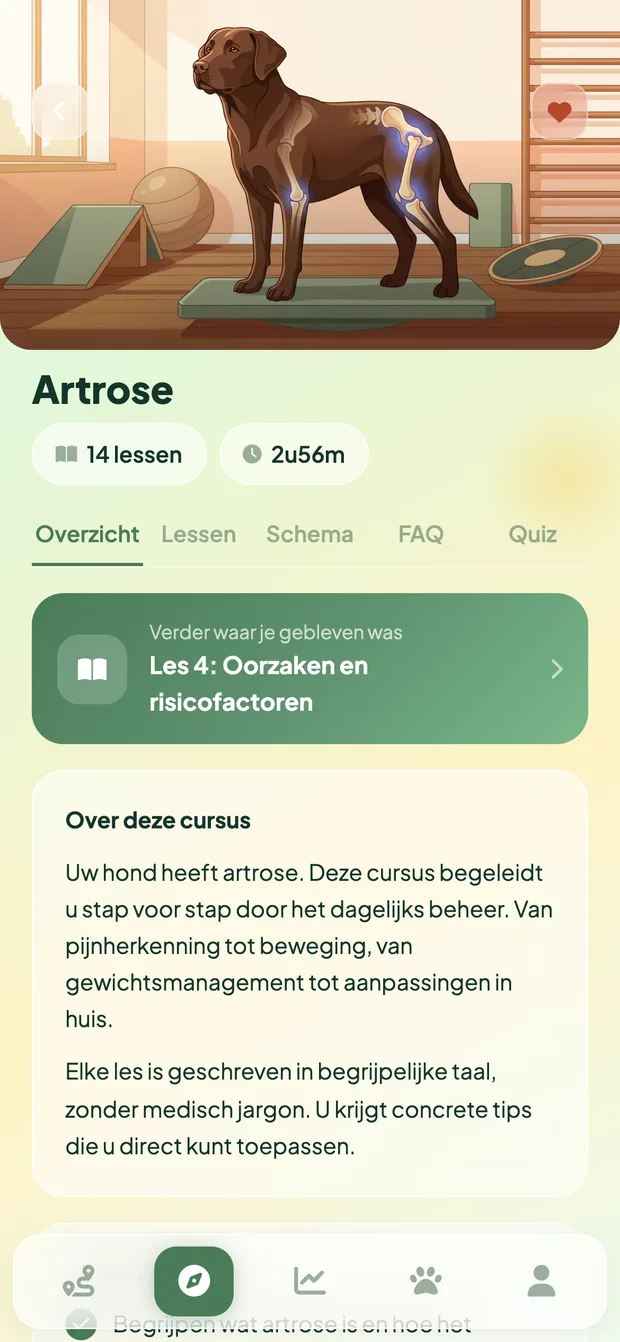 Vet Fysio cursusdetail met lessen